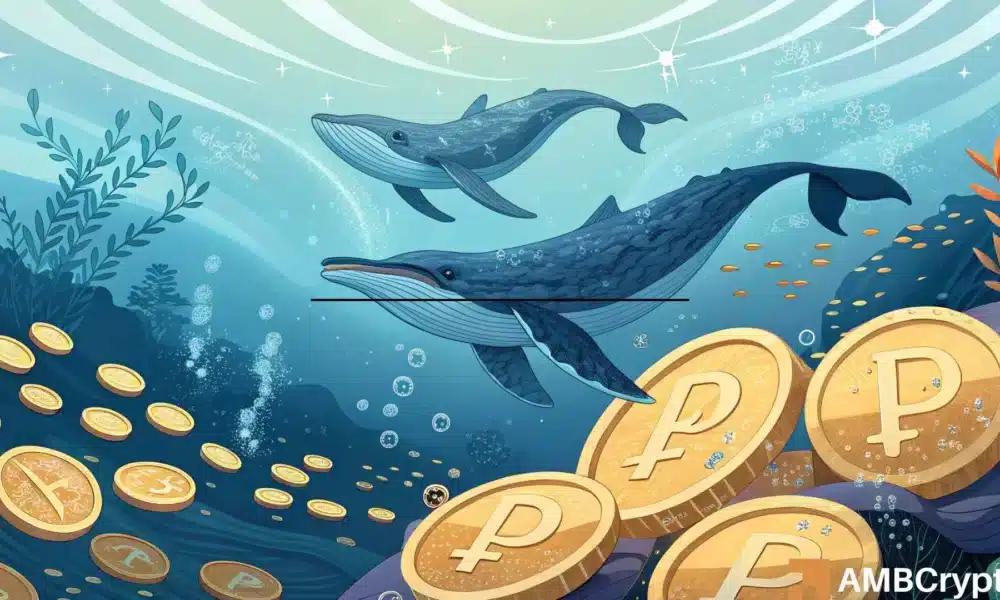 PUMP市场的持续拉锯：多头增持，空头套现