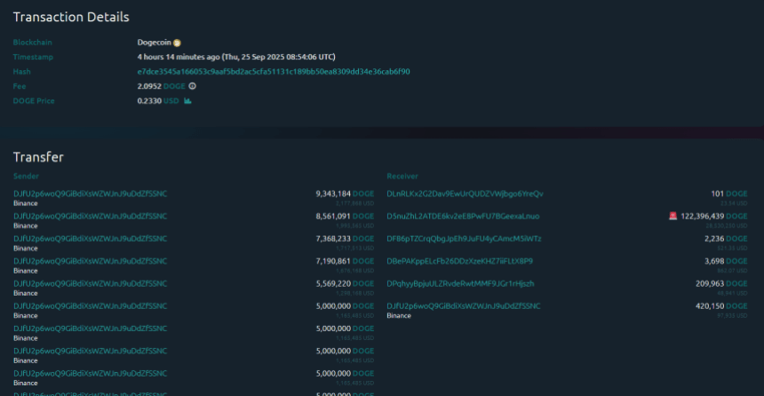 狗狗币暴跌18%，但巨鲸从币安提现了1.22亿DOGE